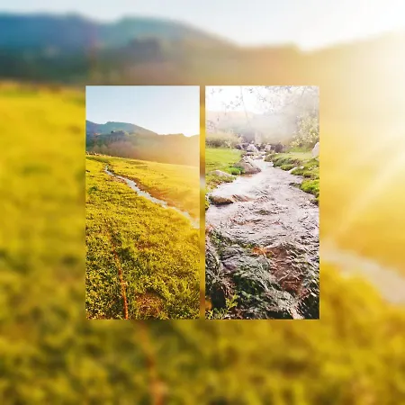 Don Mauricio Y Periquines * Robledillo