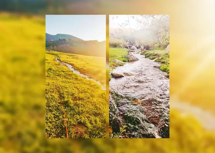 Don Mauricio Y Periquines * Robledillo